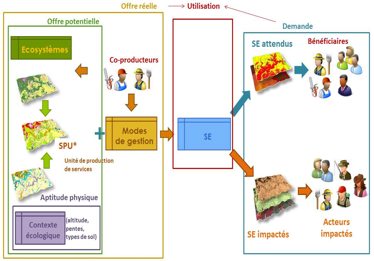 types-indicateurs-biophysiques (1).png
