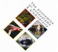 logo of Economics of ecosystem and biodiversité (TEEB)