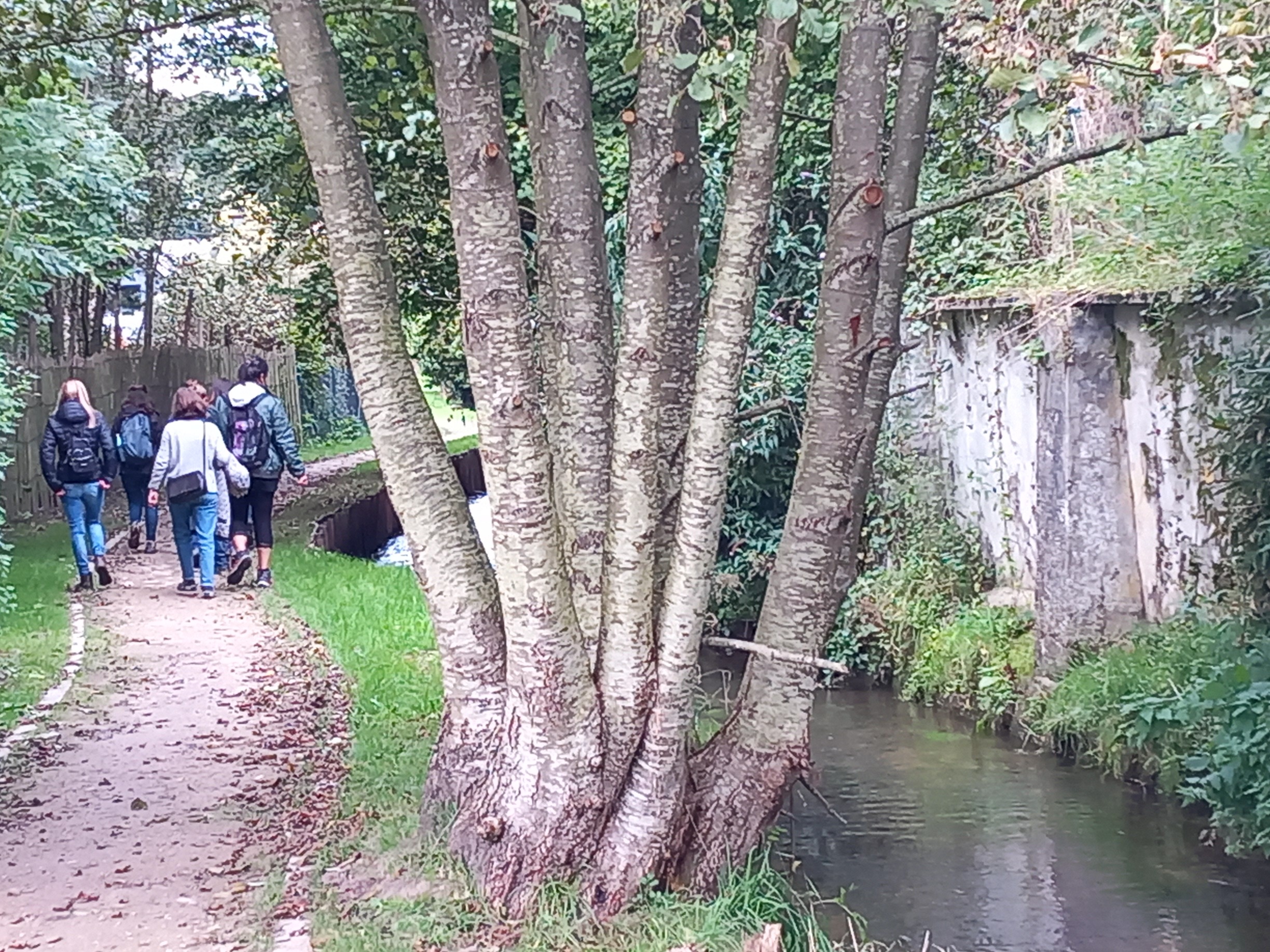 promenade_villers.JPG