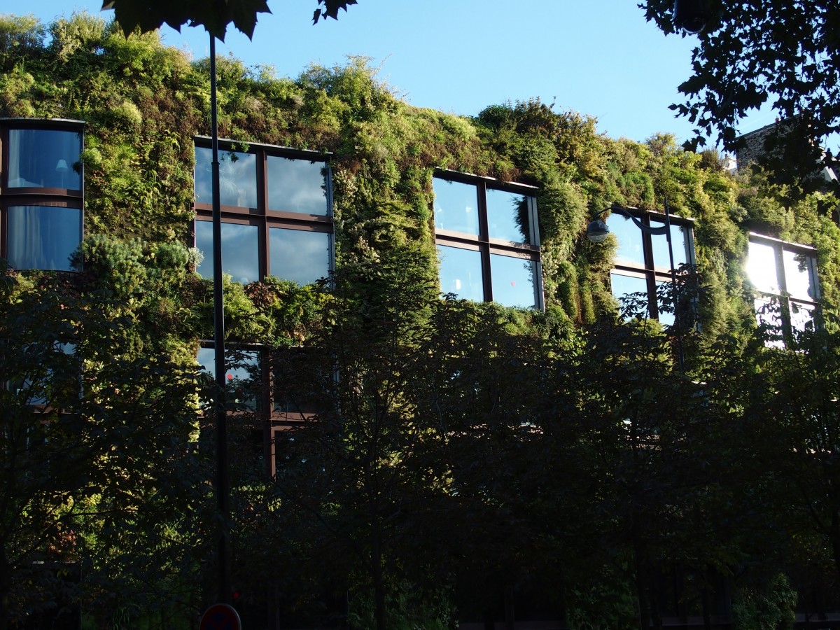 typologie_regulation_pollution_mur_vegetal.jpg