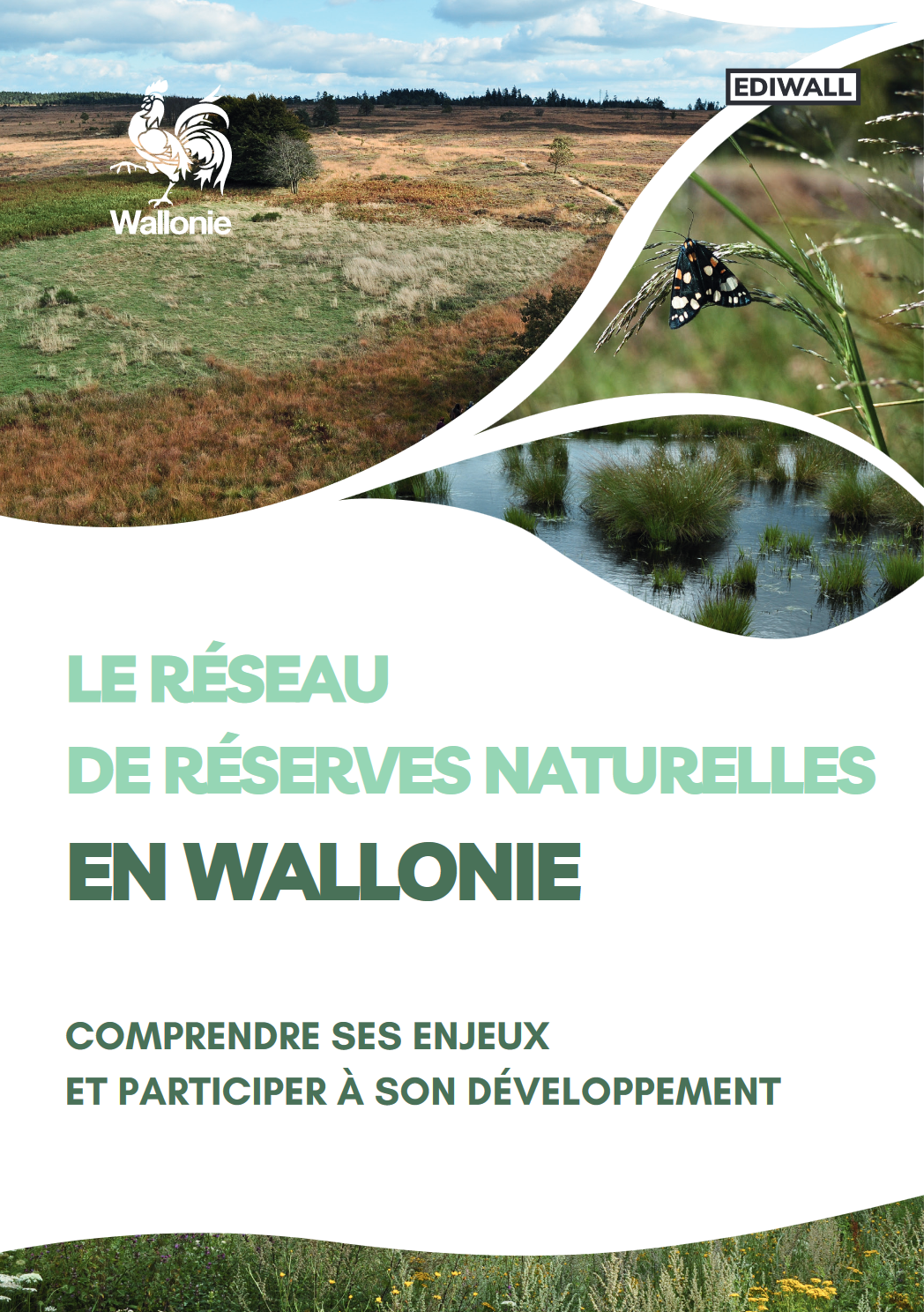 le-reseau-de-reserves-naturelles-en-wallonie-comprendre-ses-enjeux-et-participer-a-son-developpement