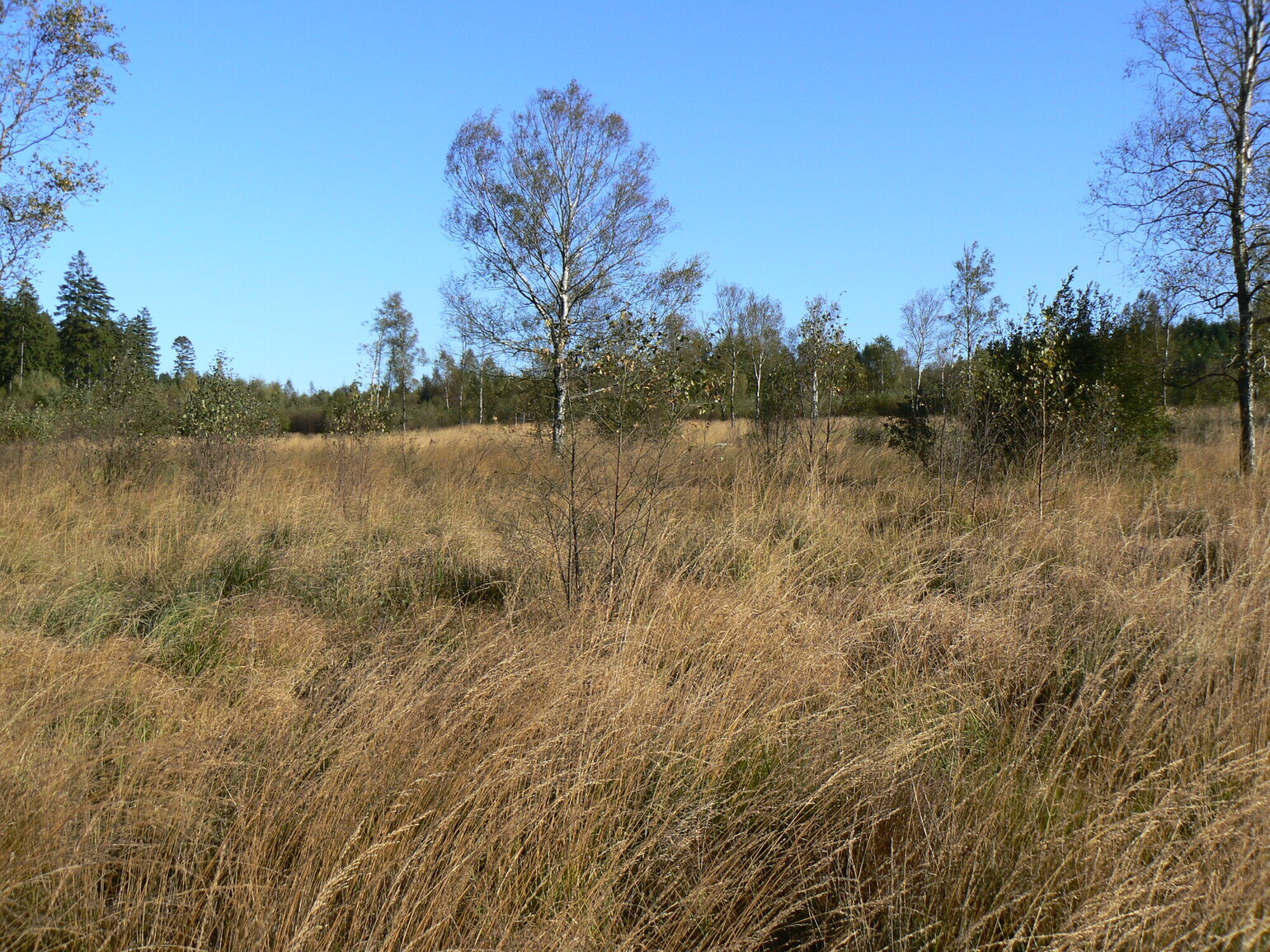 Croix Scaille  Fange de l'abîme_P_Van_Asbroeck.JPG