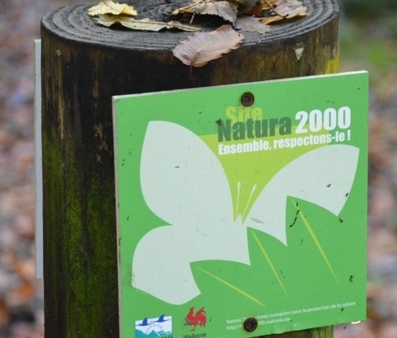 N2000.banniere.jpg