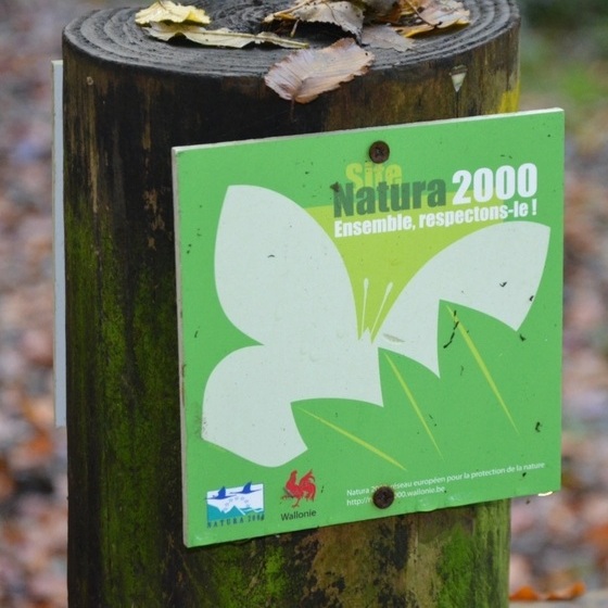 N2000.pave.jpg