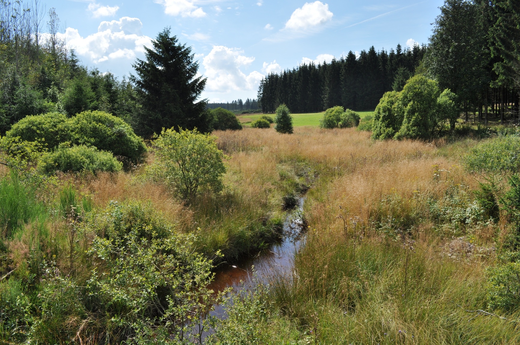 Vallée Holzwarche DSC_2580corr.JPG