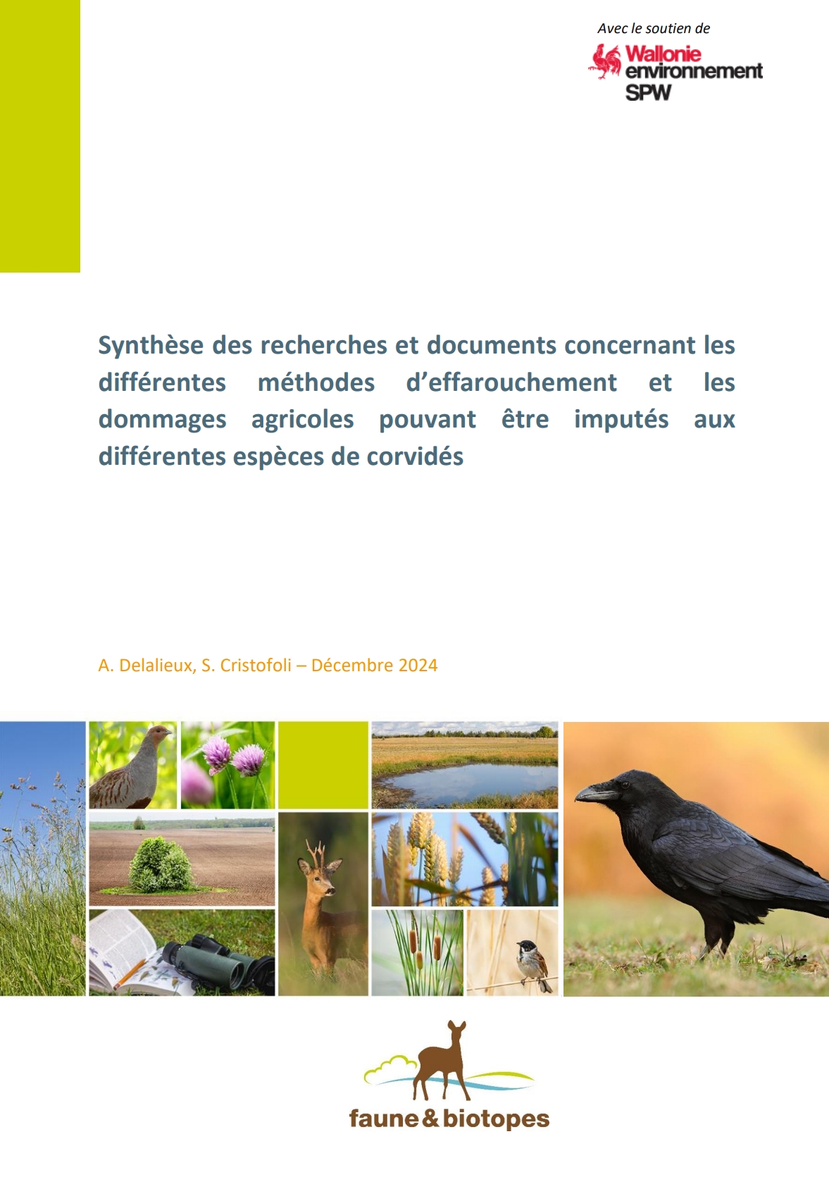synthese-des-recherches-et-documents-concernant-les-differentes-methodes-d-effarouchement-et-les-dommages-agricoles-pouvant-etre-imputes-aux-differentes-especes-de-corvides