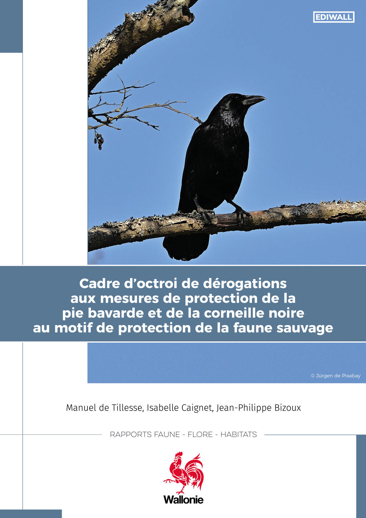 cadre-d-octroi-de-derogations-aux-mesures-de-protection-de-la-pie-bavarde-et-de-la-corneille-noire-au-motif-de-protection-de-la-faune-sauvage