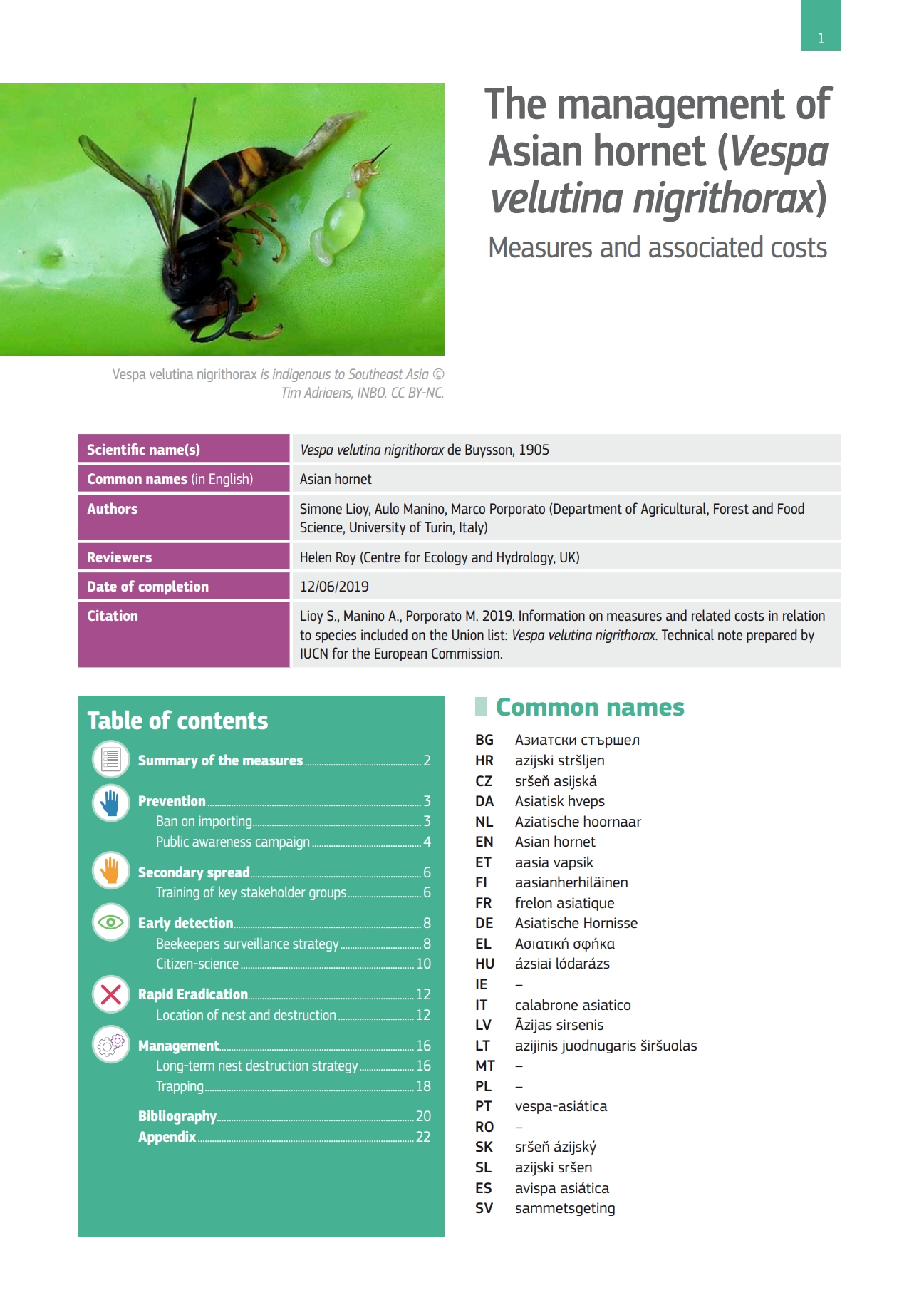 les-bonnes-pratiques-de-gestion-du-frelon-asiatique