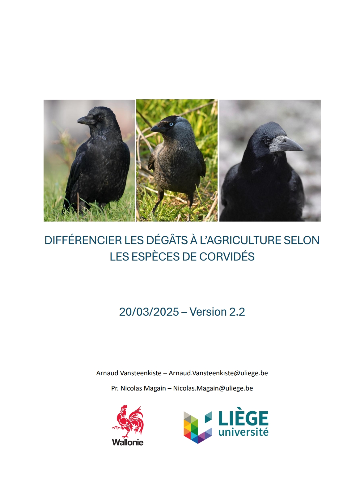 cg-publication