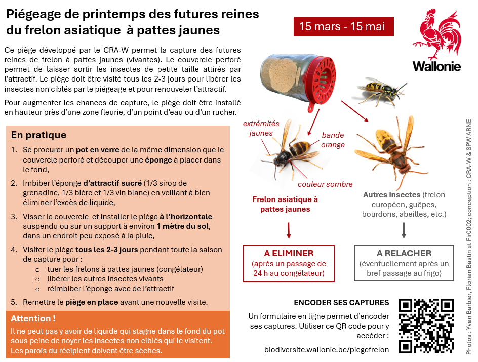 Mode d'emploi pièges.png
