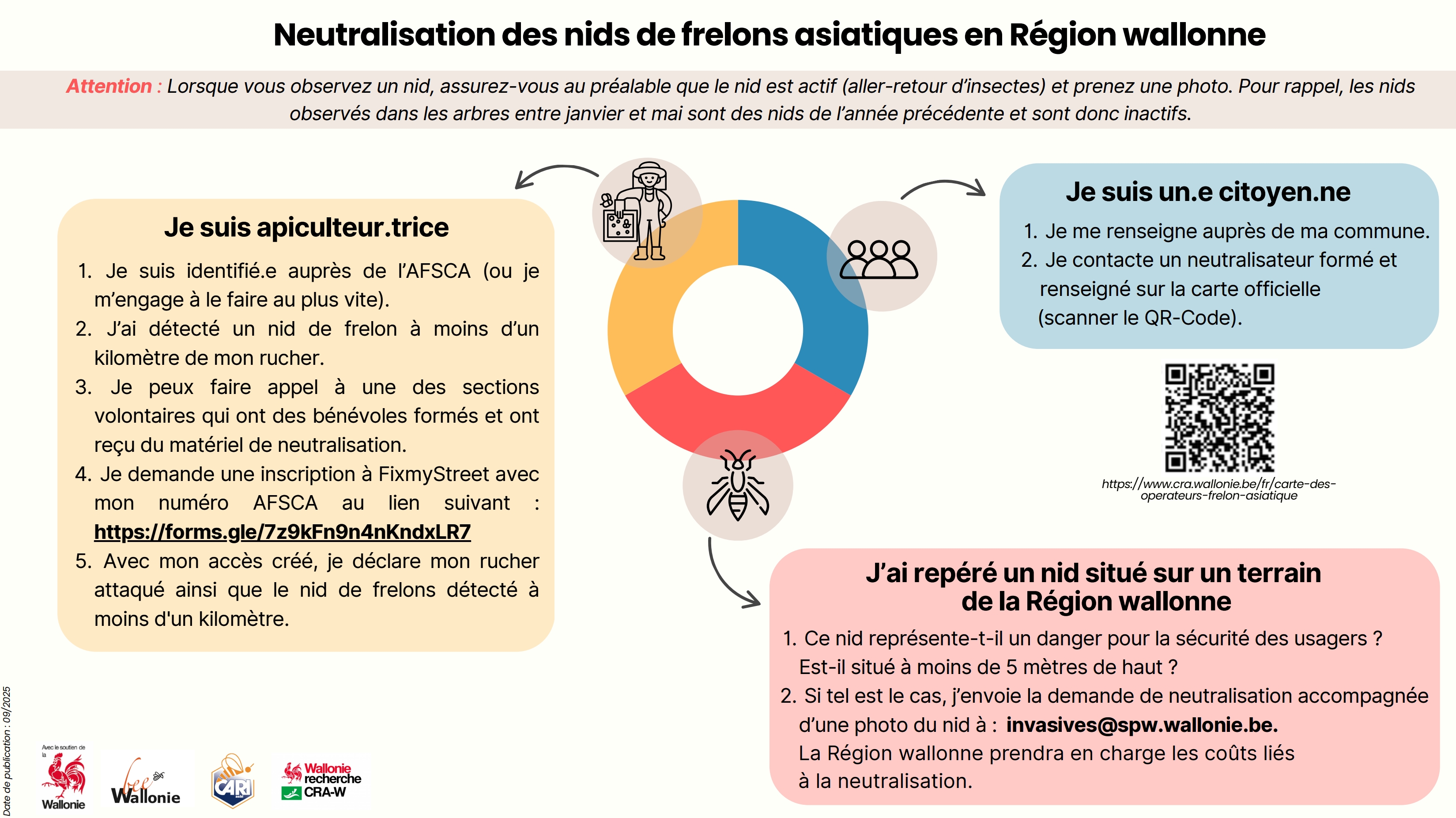 frelon_neutralisation.jpg