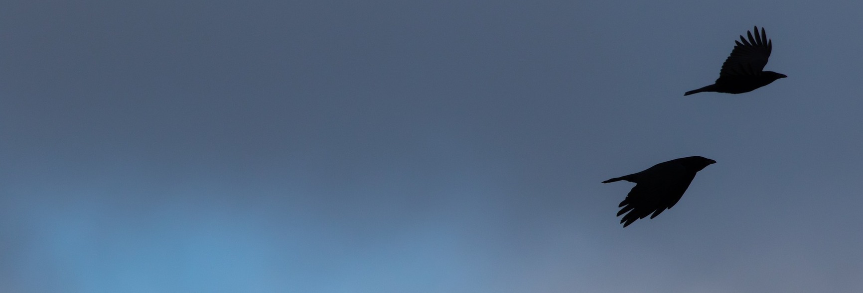 Image par Kev de Pixabay.jpg