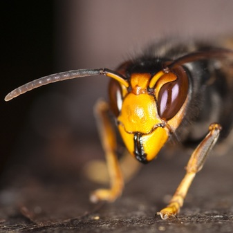 Flickr7_Danel Solabarrieta.pave.jpg