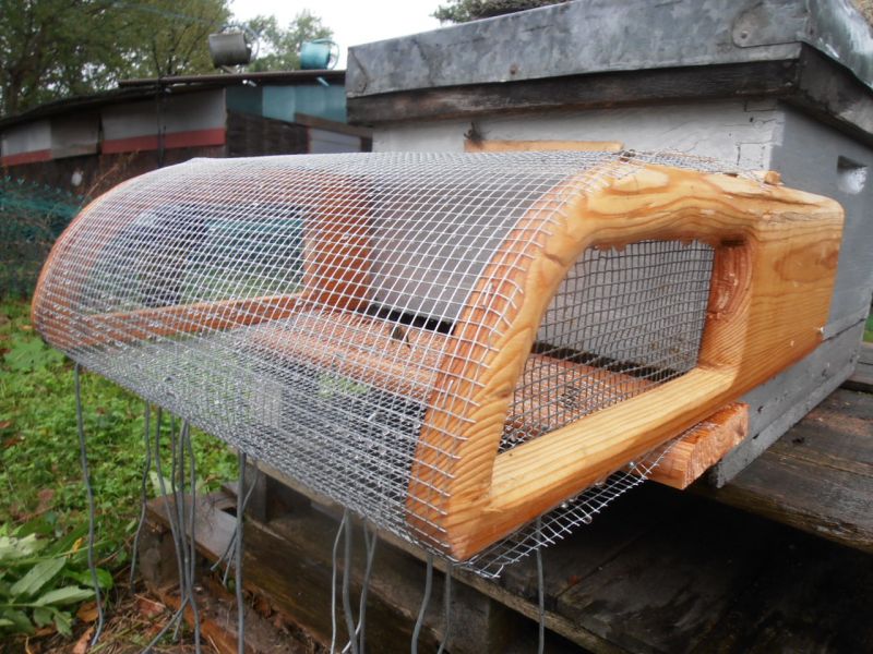 Muselière1_Frederic Diez.jpg