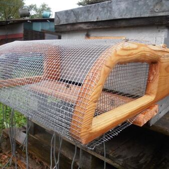 Muselière1_Frederic Diez.pave.jpg