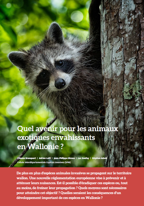 les-animaux-exotiques-envahissants-en-wallonie