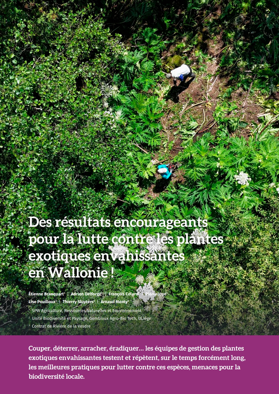 beau-succes-rencontre-dans-le-cadre-de-la-lutte-contre-les-plantes-exotiques-envahissantes-en-wallonie