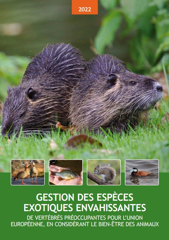 gerer-les-populations-de-vertebres-exotiques-envahissants-dans-le-respect-du-bien-etre-animal