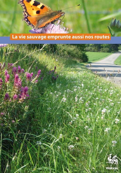 la-vie-sauvage-emprunte-aussi-nos-routes