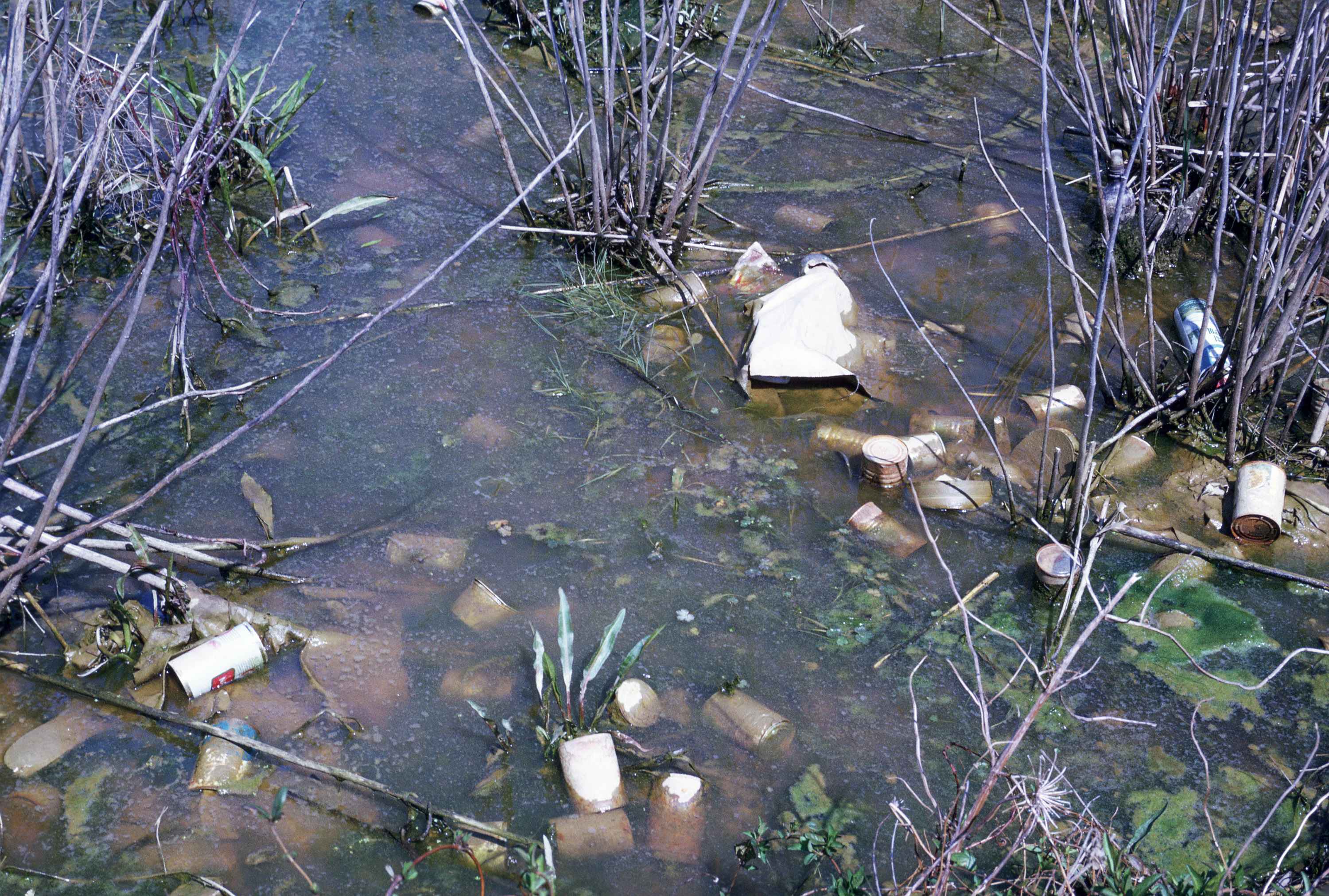 pollution.jpg