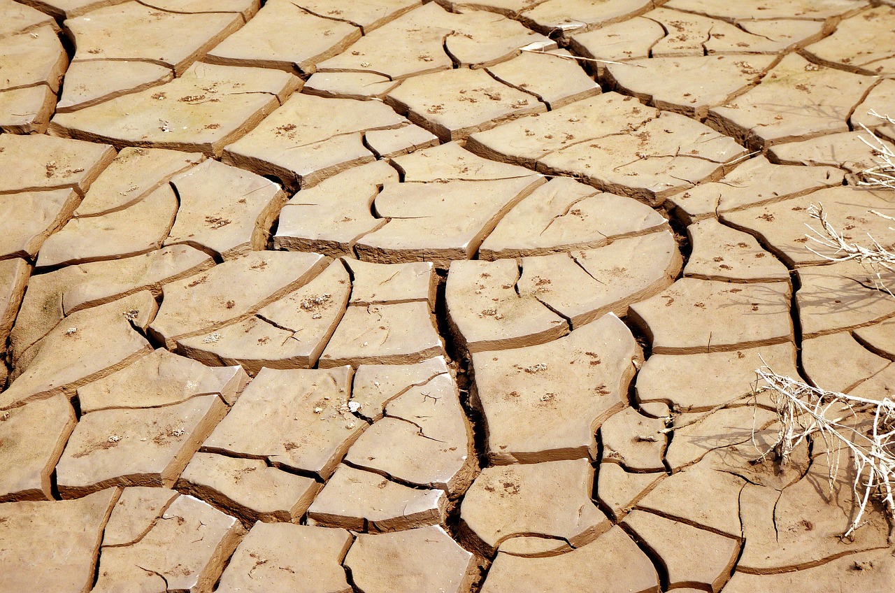 secheresse_climat.jpg