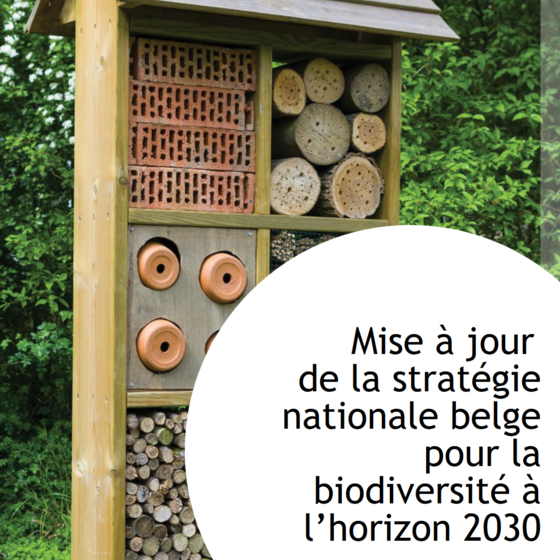 strategie_biodiversite_pave.png