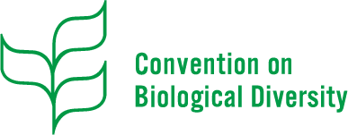 stratgei_logo_CBD.png