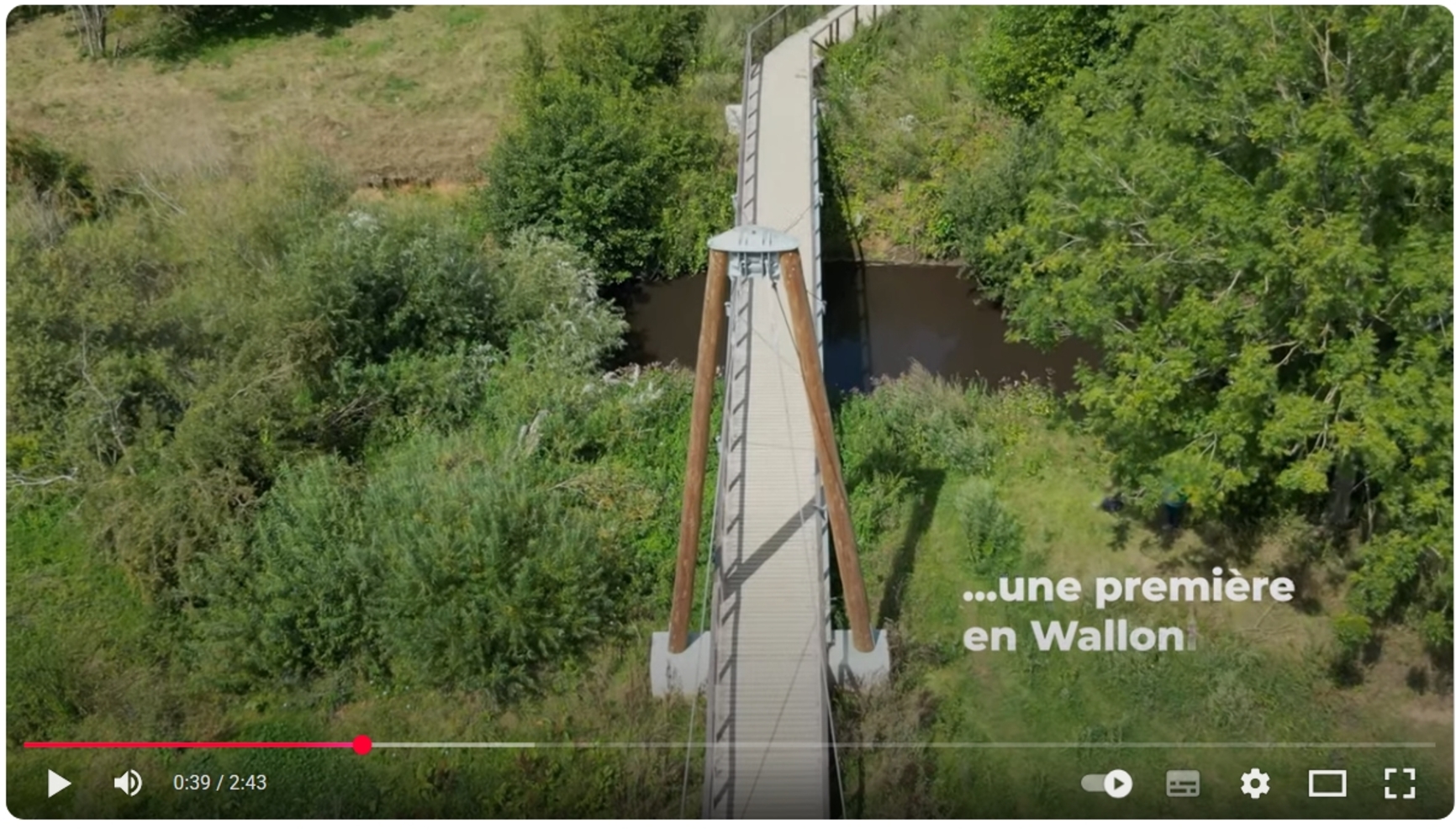 Bat-quoi ? Bat-bridge !