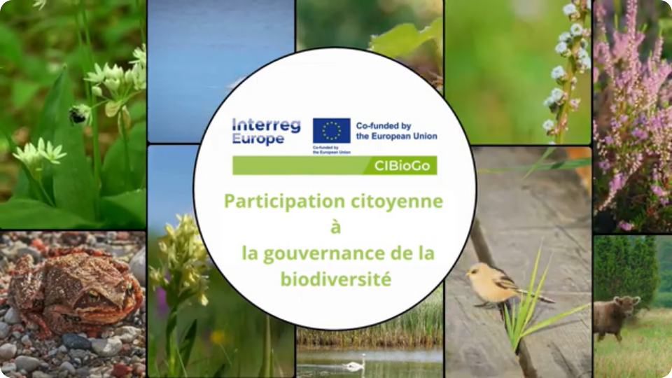  CIBioGo - Interreg Europe | Notre parcours jusqu’à présent (French) 