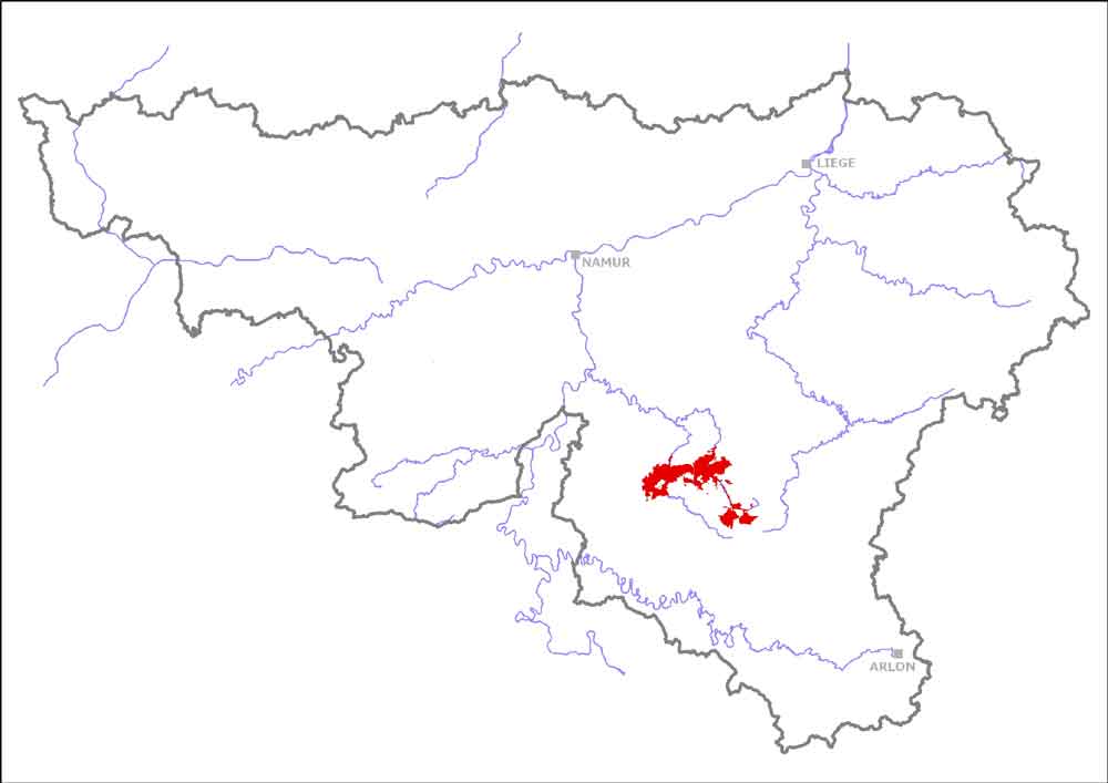 lomme_localisation.jpg