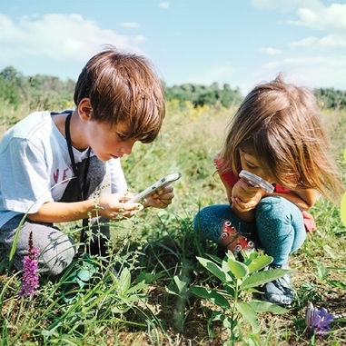 Événement: Les partenaires belges de la nature mobilisent les citoyens pour cartographier la biodiversité