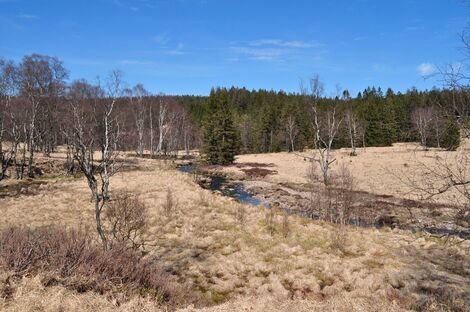 Actualité: Réserves naturelles : près de 759 hectares supplémentaires s’ajoutent au réseau existant