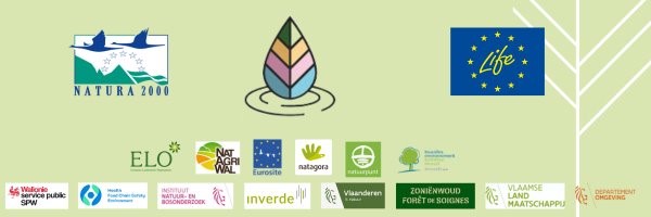 Logos B4B Belgium.jpg