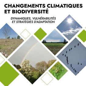 invitation-colloque-dnf-2026-cover-ter.jpg