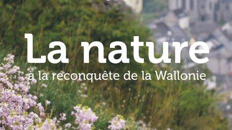 Actualité: "La nature à la reconquête de la Wallonie" - Film