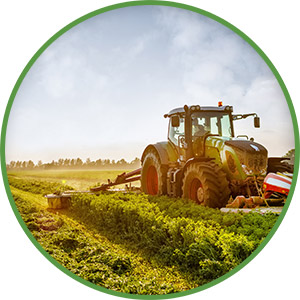 agri-ico.jpg