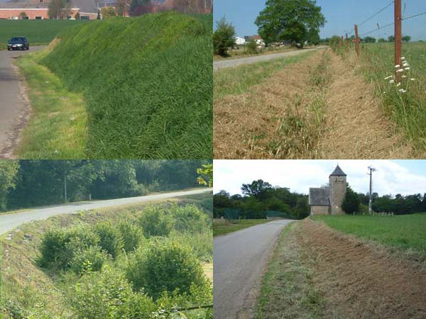 Effets de la fauche sur le bord des routes