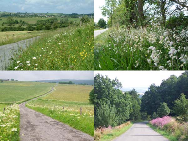 Fonction paysagère des bords de routes