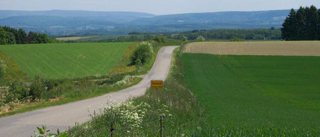 Fonction paysagère des bords de routes