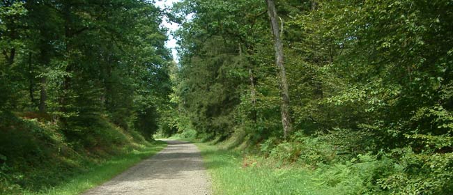 Impact du réseau routier sur l'environnement en wallonie