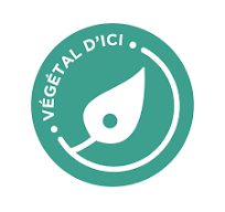 Logo végétal d'ici