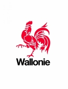 Logo wallonie_v