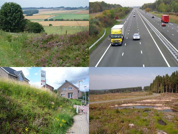 De la nature à l'environnement géré