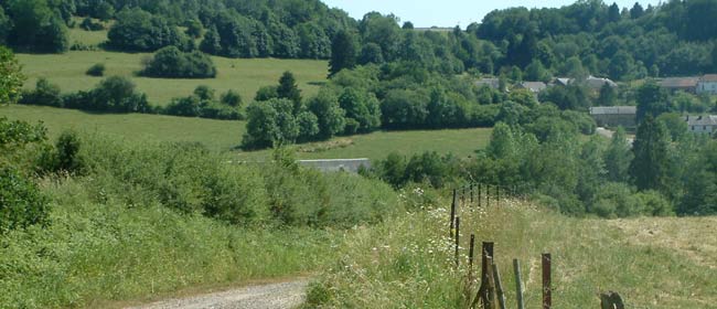 Réseau écologique Wallonie