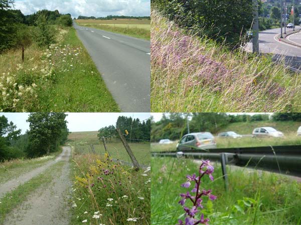 Le réseau routier en Wallonie