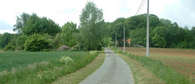 Réseau routier wallon