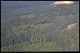 Vallons des ruisseaux du Fourneau et de Brandefer en 2000 [copyright Duchesne Jacques]