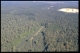 Vallons des ruisseaux du Fourneau et de Brandefer en 2000 [copyright Duchesne Jacques]